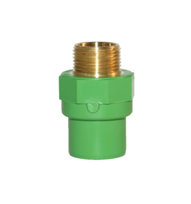 Nippiltengi Kryoclim